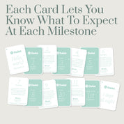 Owlet Boxed Milestone Cards