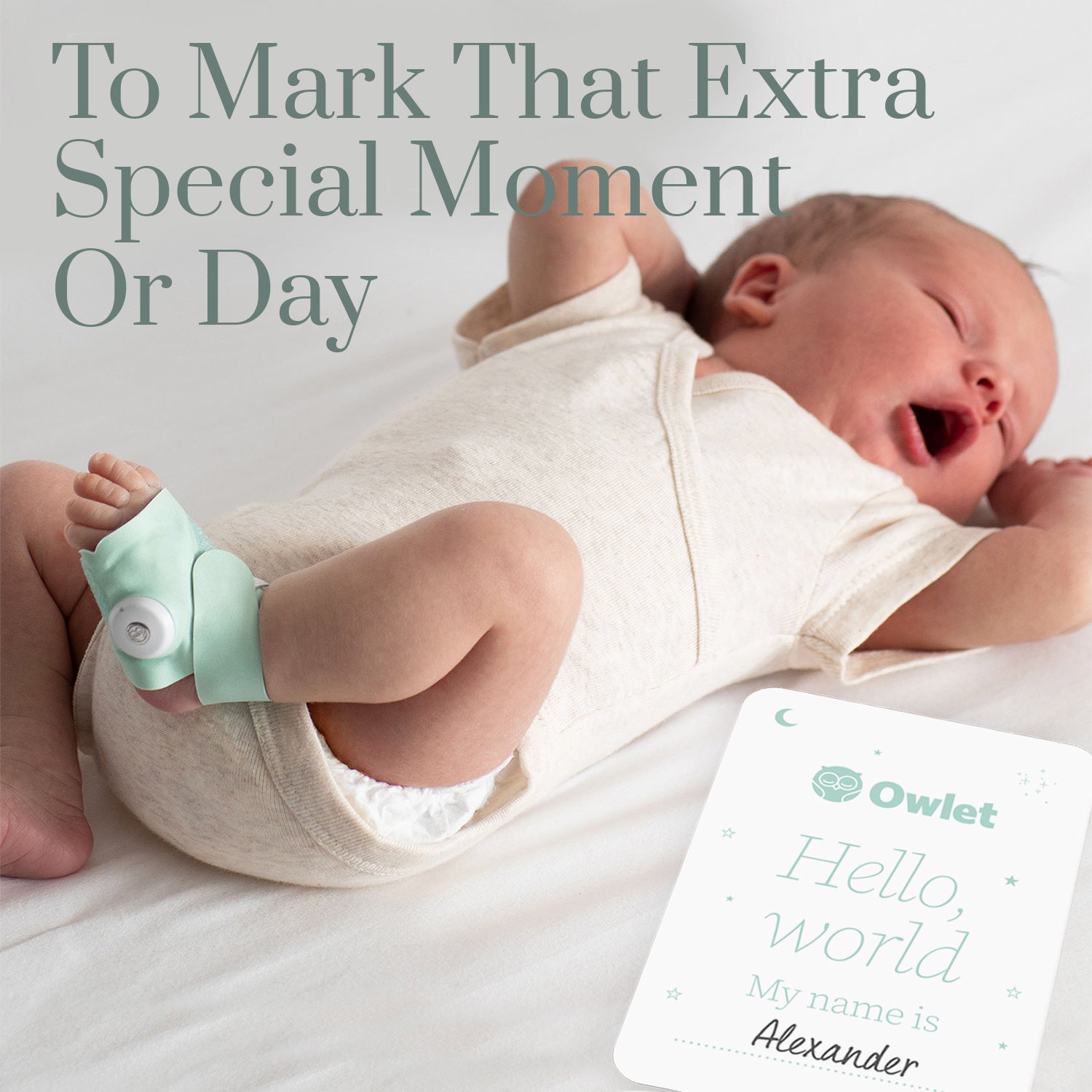 Owlet Boxed Milestone Cards