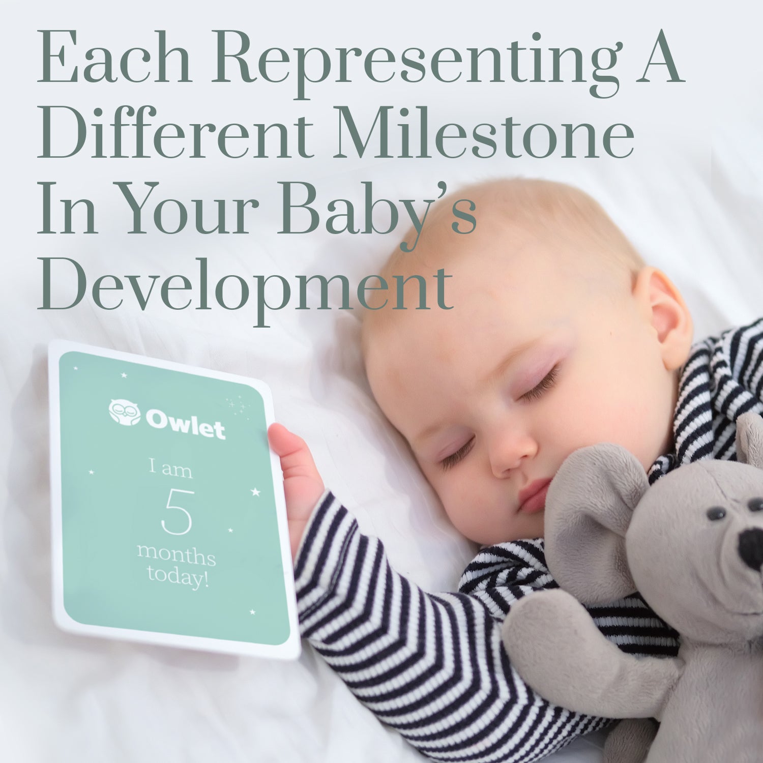 Owlet Boxed Milestone Cards