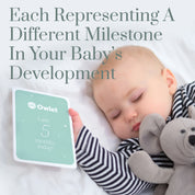 Owlet Boxed Milestone Cards
