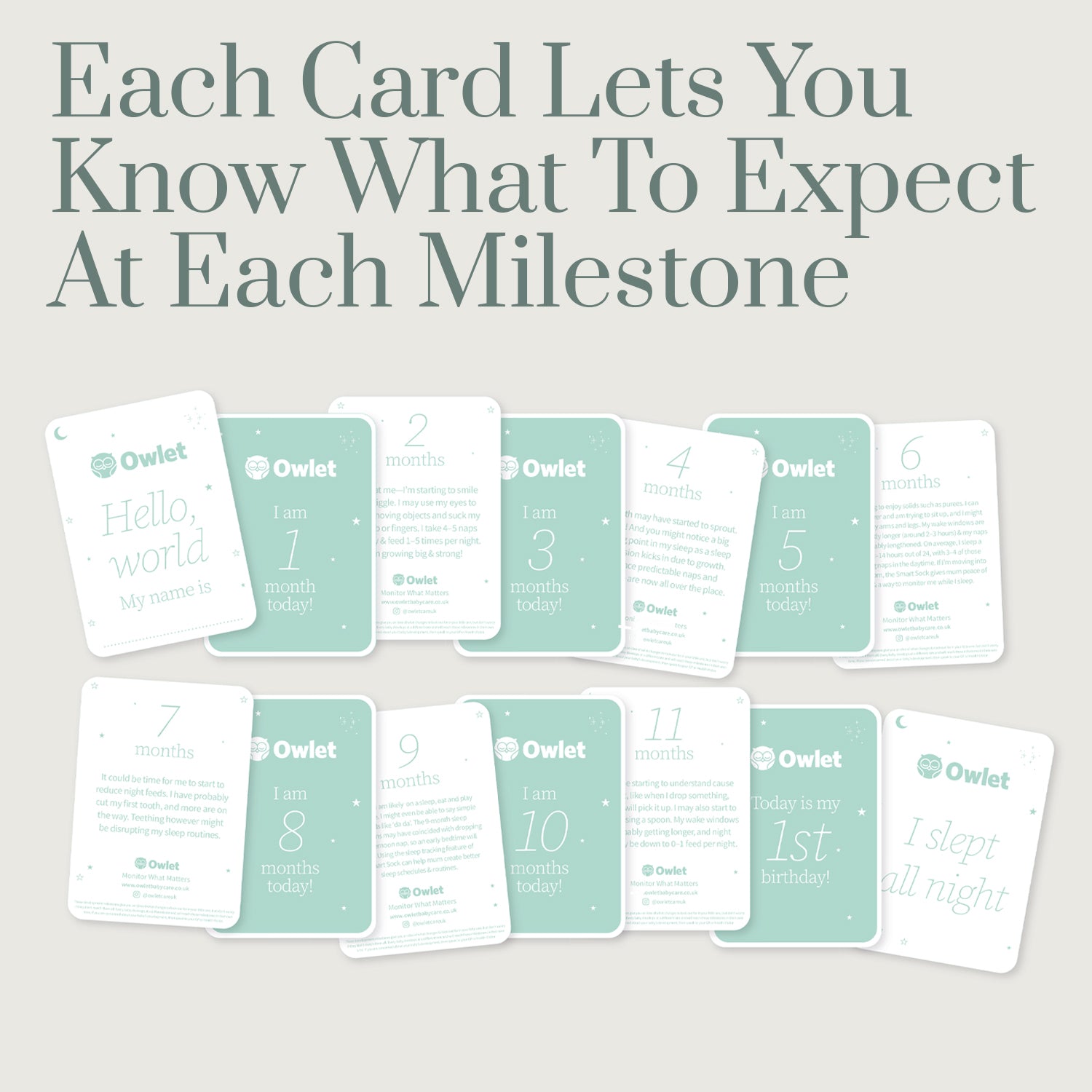 Owlet Boxed Milestone Cards